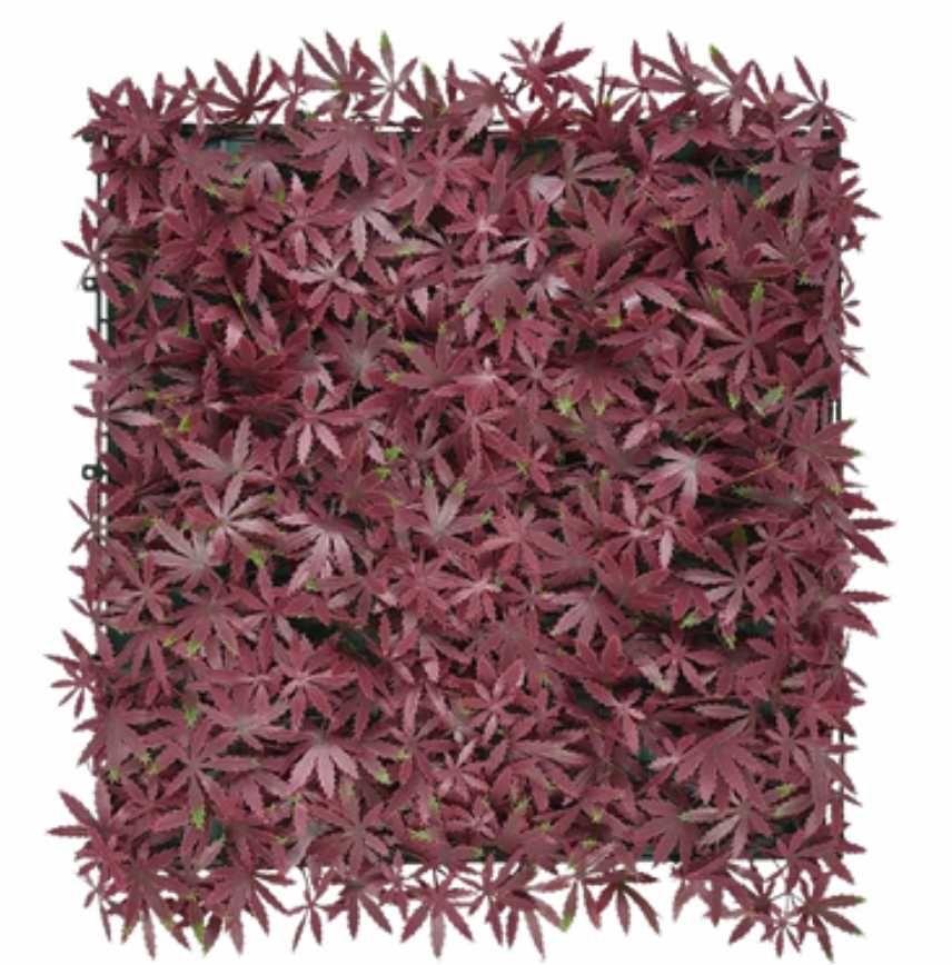 Jardim vertical RED MAPLE