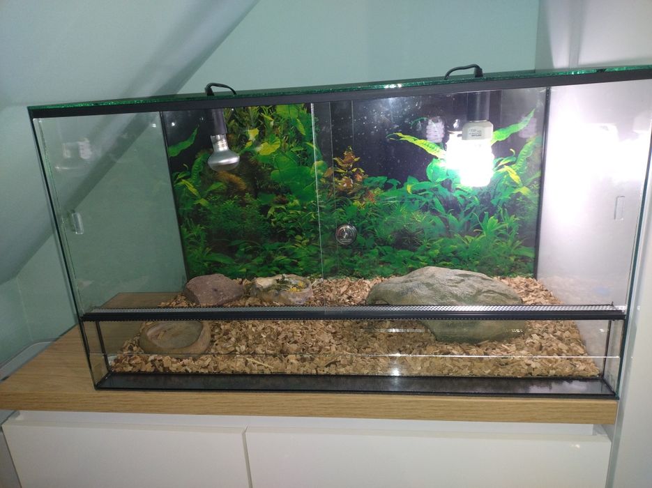 Terrarium dla żółwia