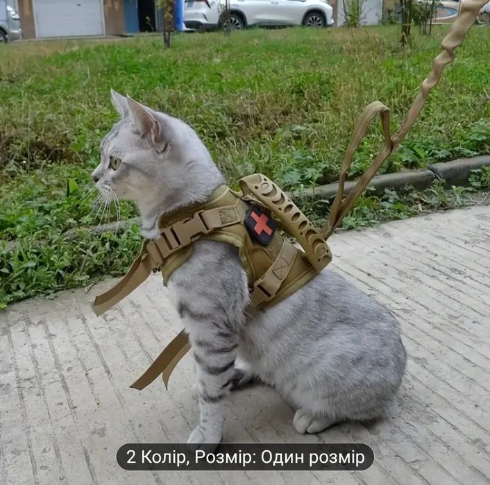 Тактичний жилет-шлейка