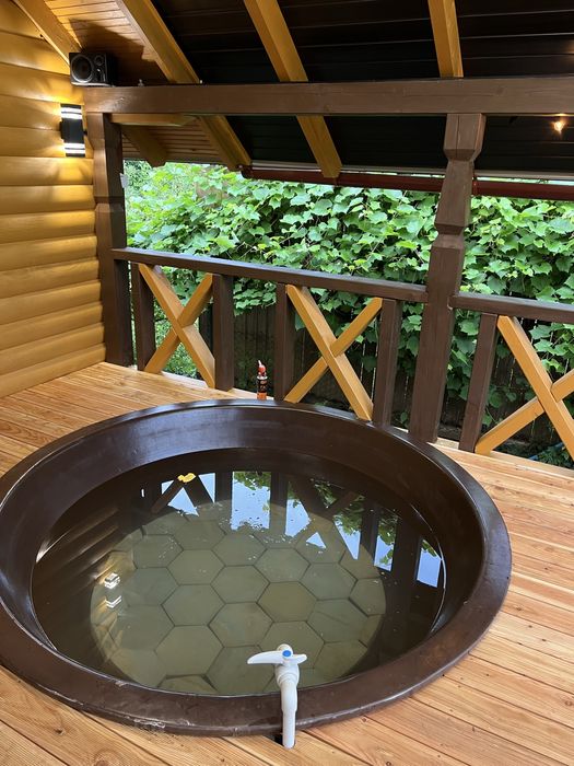 Котедж в Карпатах