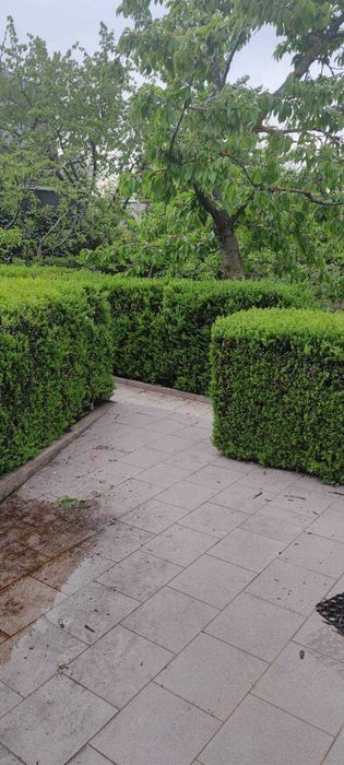 Участок с домом с видом на лиман  в 42 км от Одессы