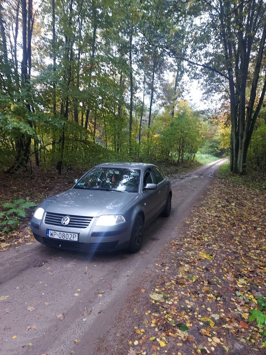 Volkswagen Passat b5fl