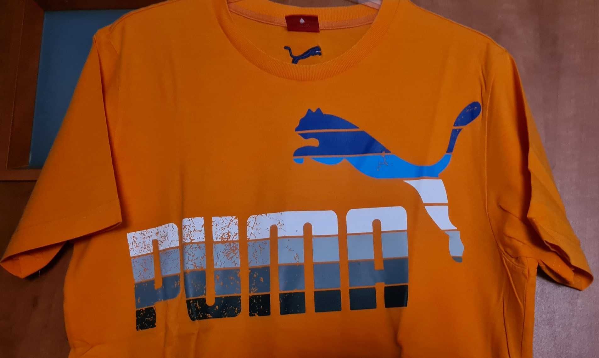 Puma pomarańczowa  koszulka, t-shirt z nadrukiem roz M