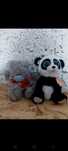 Ty Beanie Boos panda Bamboo miś me to you