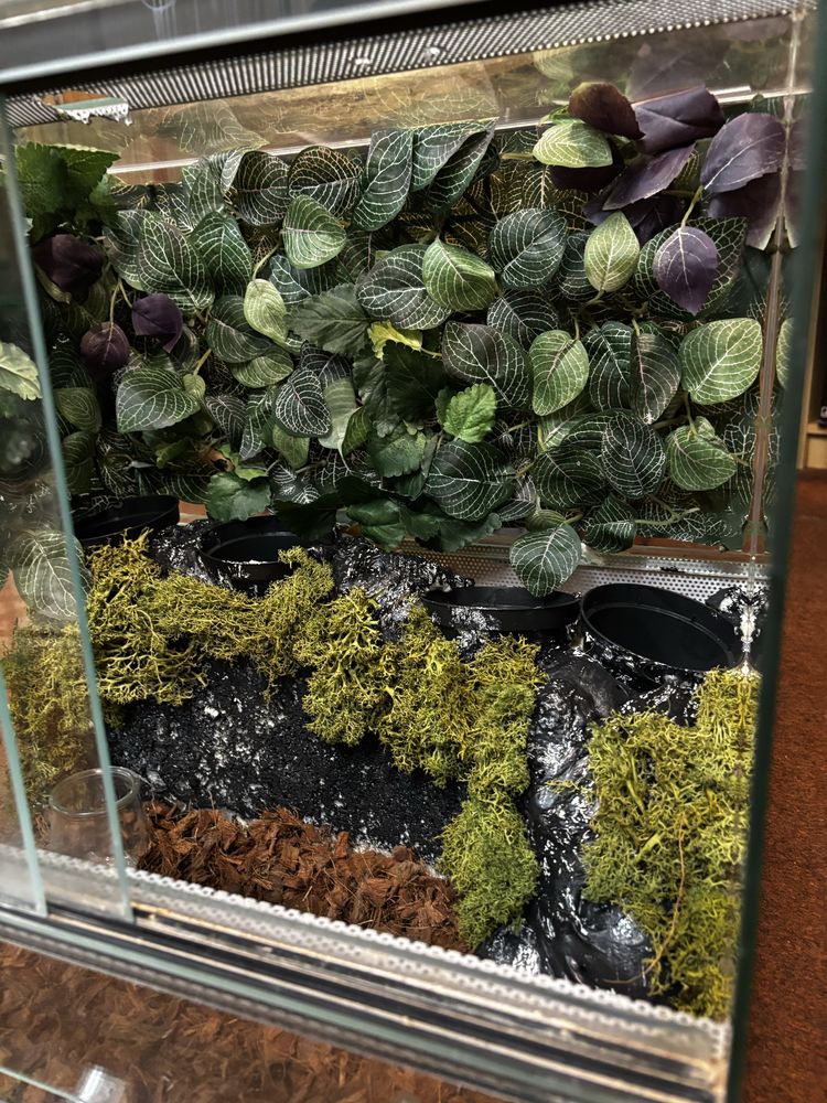 Terrarium 48x50x40