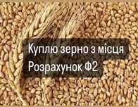 Кукурудза / пшениця
