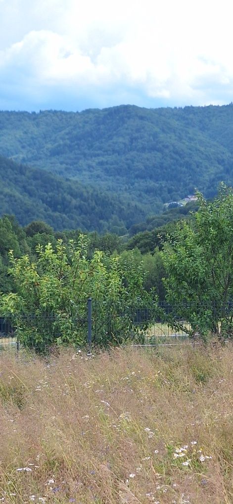 Działka budowlana 48 arów Tokarnia