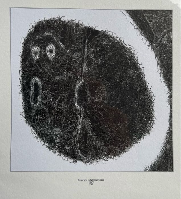 Erazm Wojciech Felcyn grafika