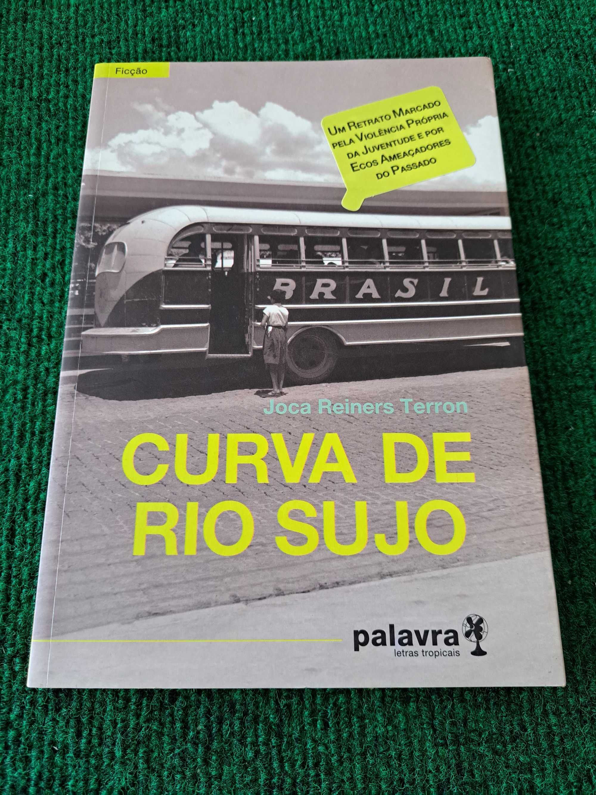 Curva de Rio Sujo - Joca Reiners Terron