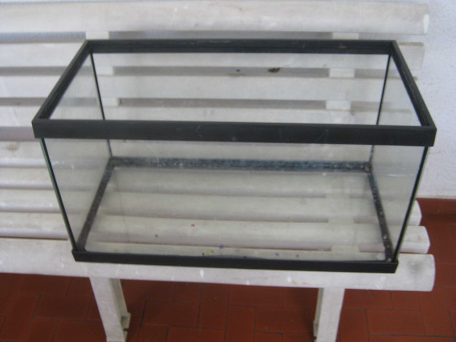 Aquário/terráqueo