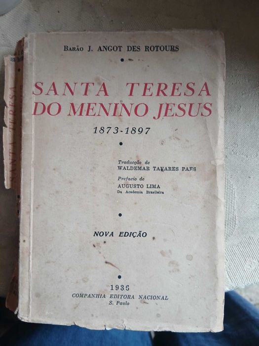 Barão J. Angot Des Rotours, Santa Teresa do Menino Jesus