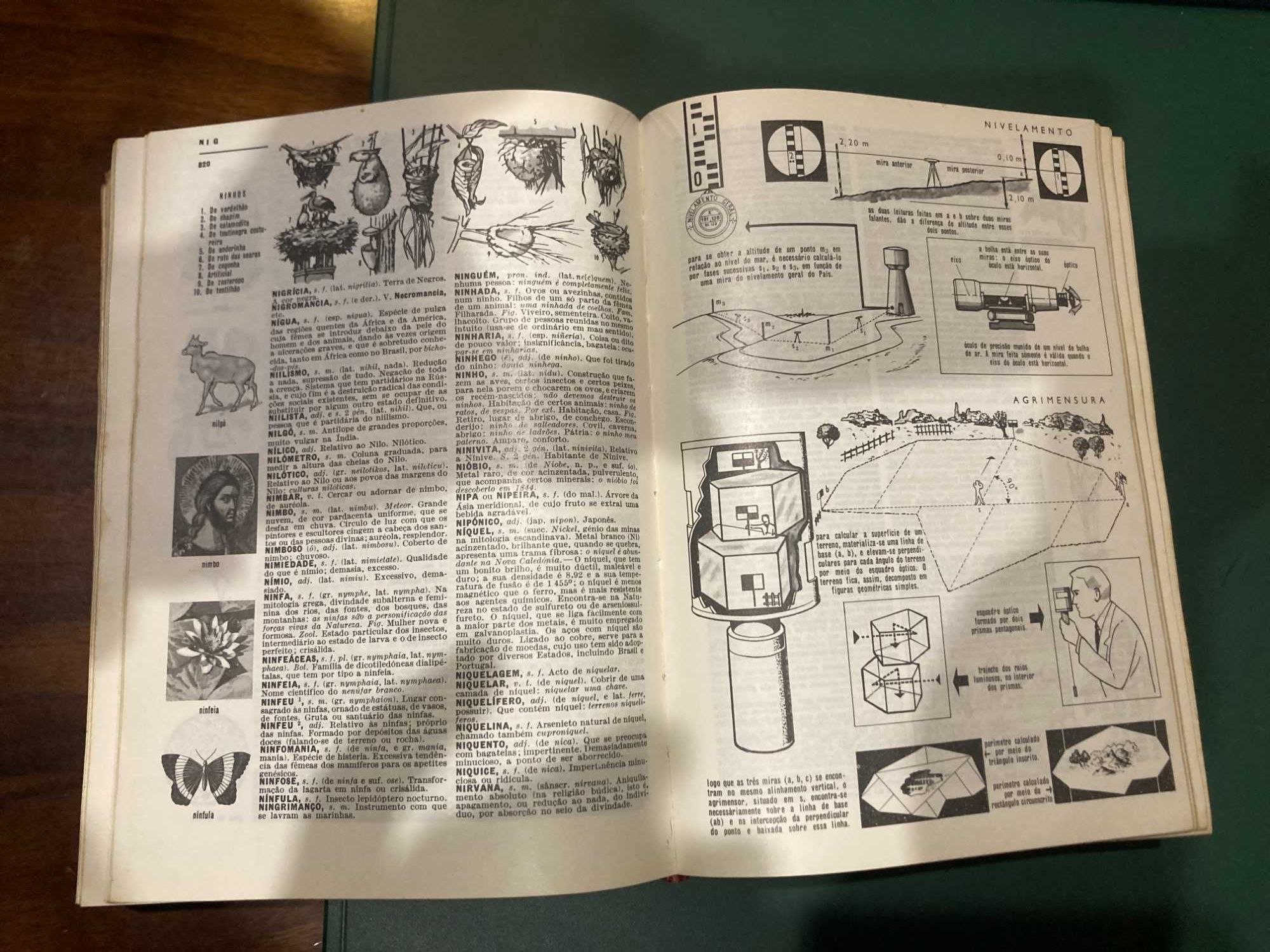 Dicionário Ilustrado Prático da Lello