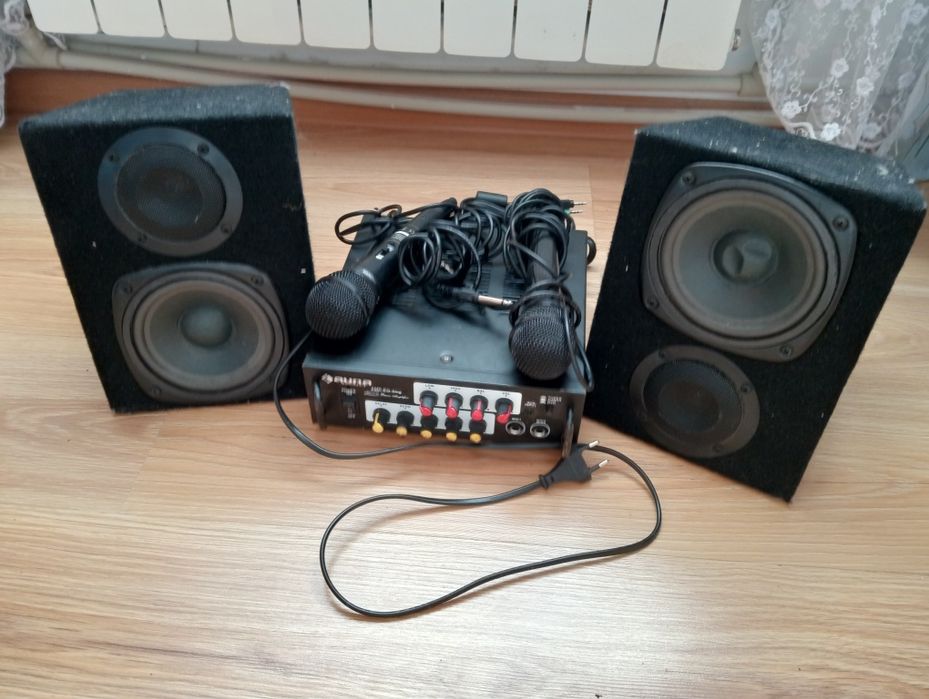 Карооке з двома пікрофонами