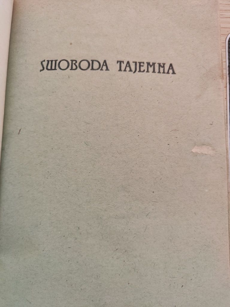 Swoboda tajemna - Józef Czapski "x