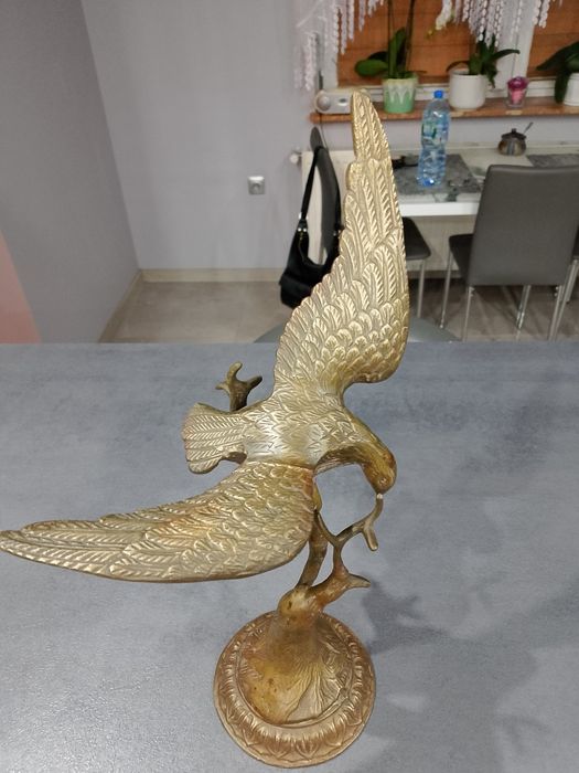 Piękny,stary duży orzeł z brązu.