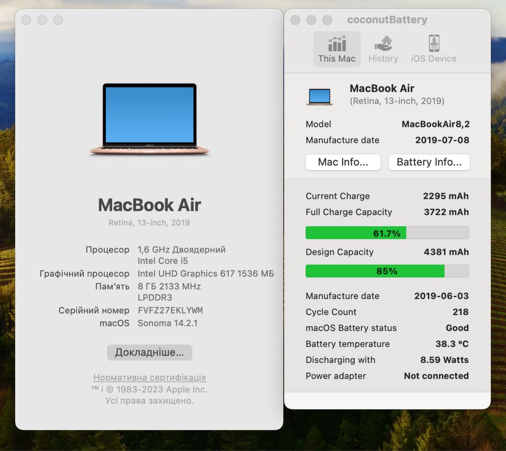 MacBook Air 13 Retina 2019 |i5 1.6/3.7Ghz| 8gb Ram | SSD 256gb