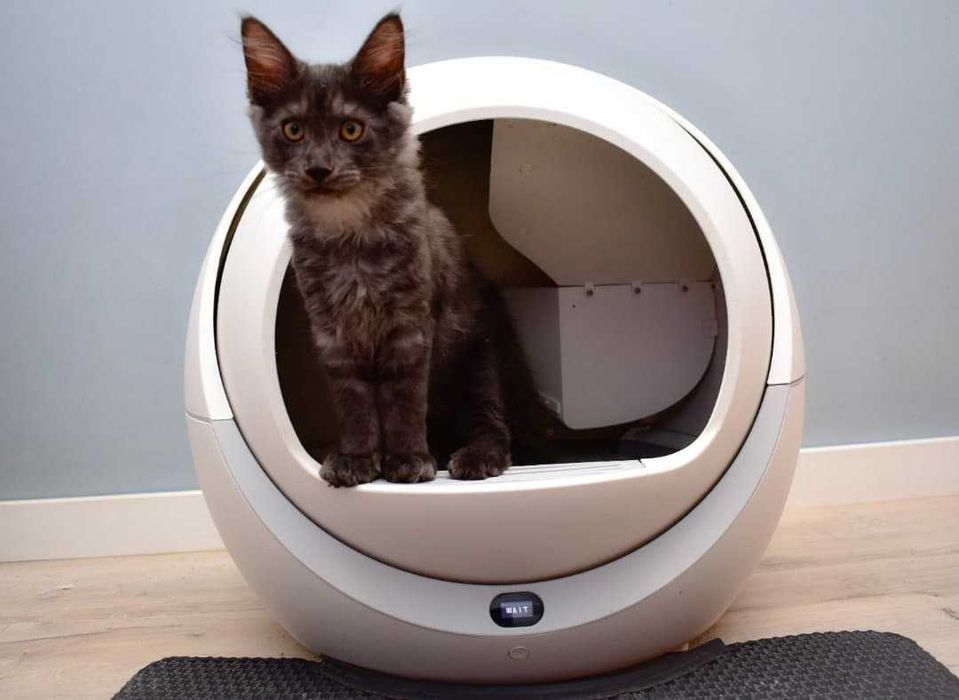 Kuweta samoczyszcząca automatyczna Petree