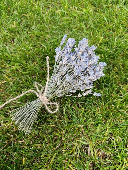 Продам букетики лаванди.