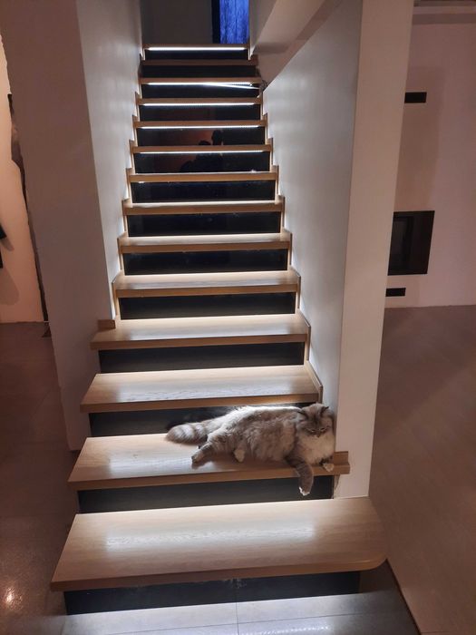 Schody drewniane stopnie Parapety Blaty