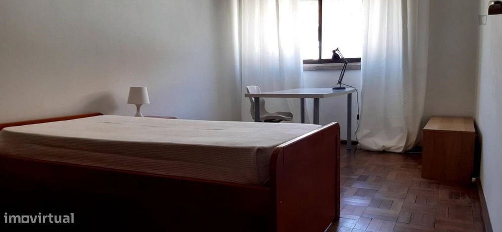 426922 - Very comfortable single bedroom in...