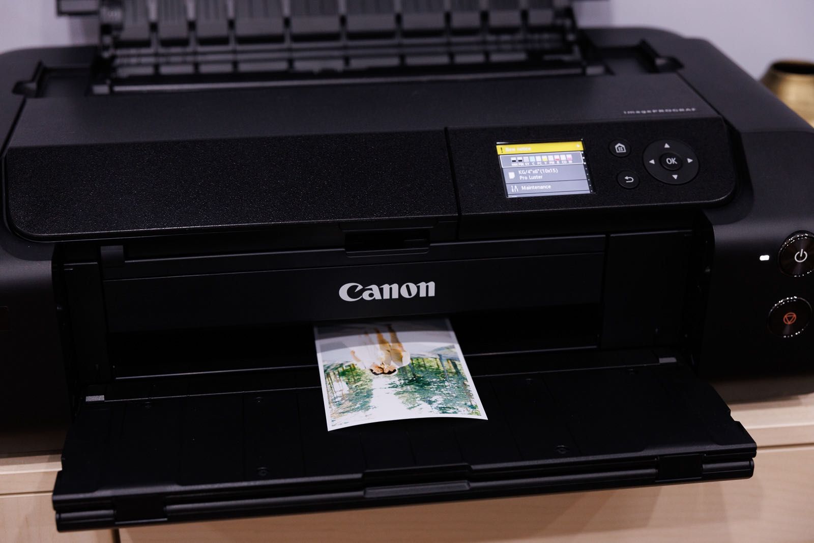 Canon Pro-300 impressora profissional de fotografia