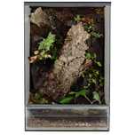 Terrarium paludarium gekon