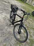 Rower pegasus 28