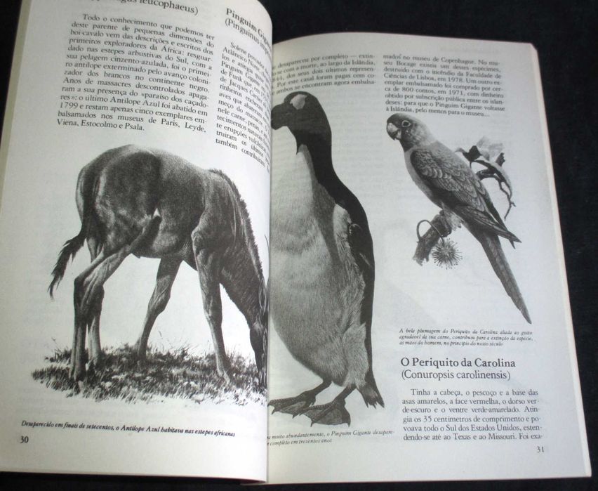 Revista História Nº 45 Julho de 1982 A arquitectura do Estado Novo