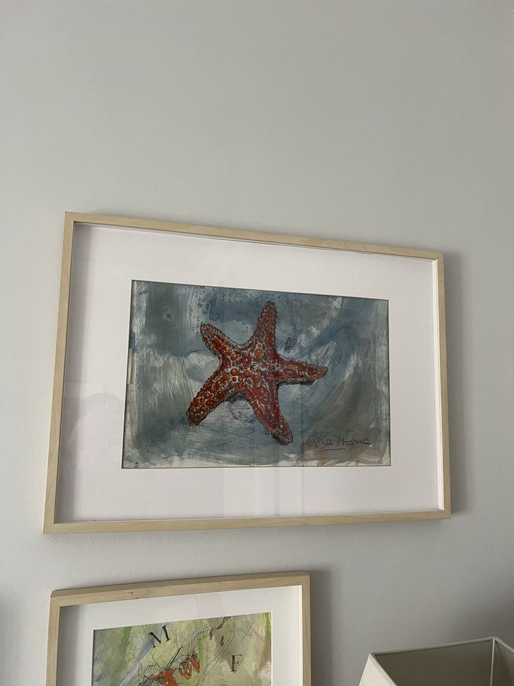 Quadro com estrela do mar