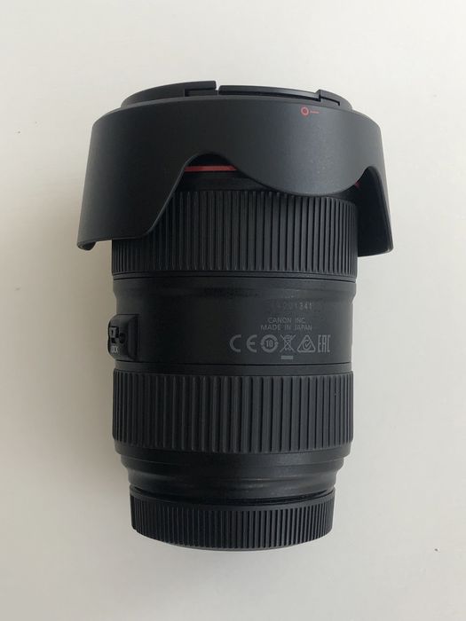 Canon 24 105 4.0L II