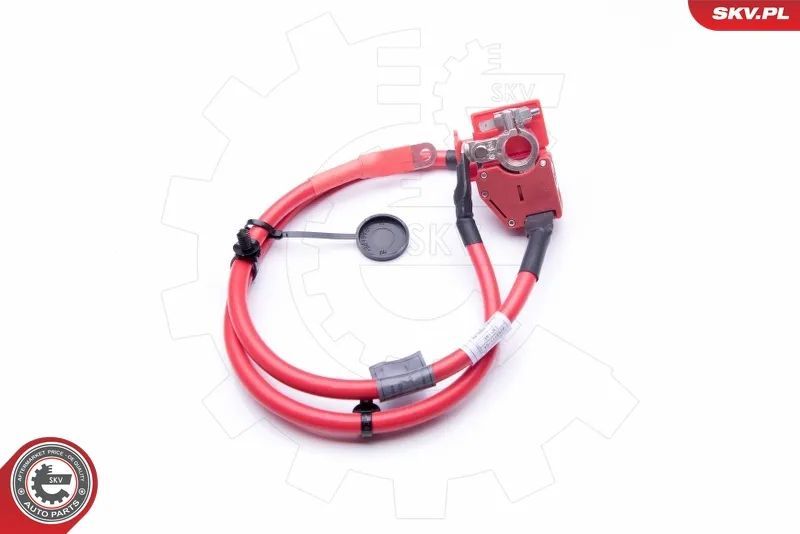 Cabo do borno positivo da bateria Bmw Série 1 F20 F21 2 F22 F23 F87 61129253111