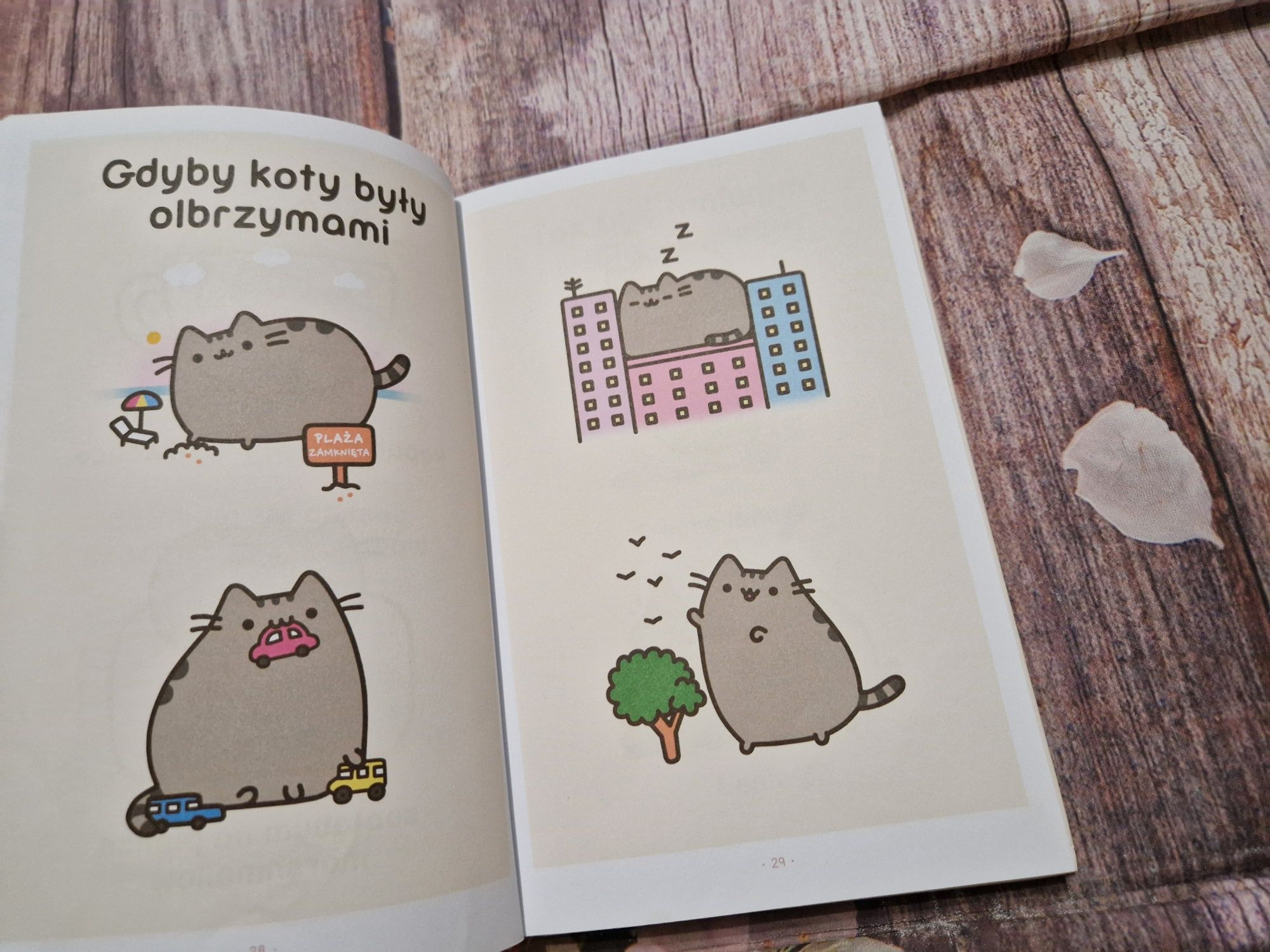 To ja,  Pushenn książka