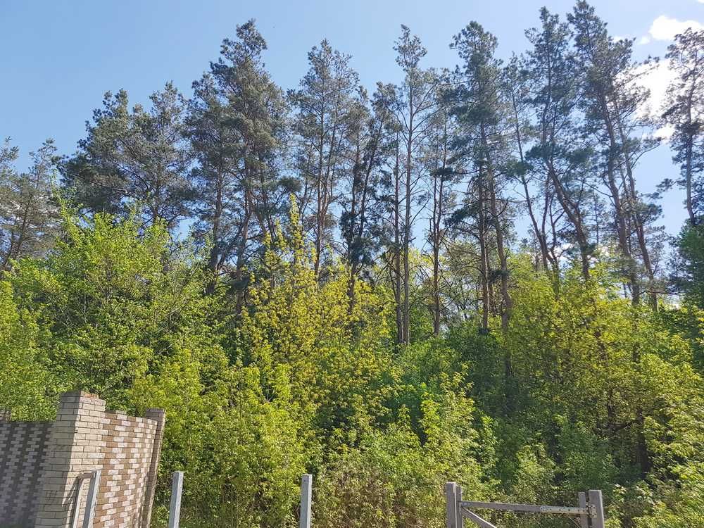 продам будинок 240 м. біля лісу у котеджному містечку