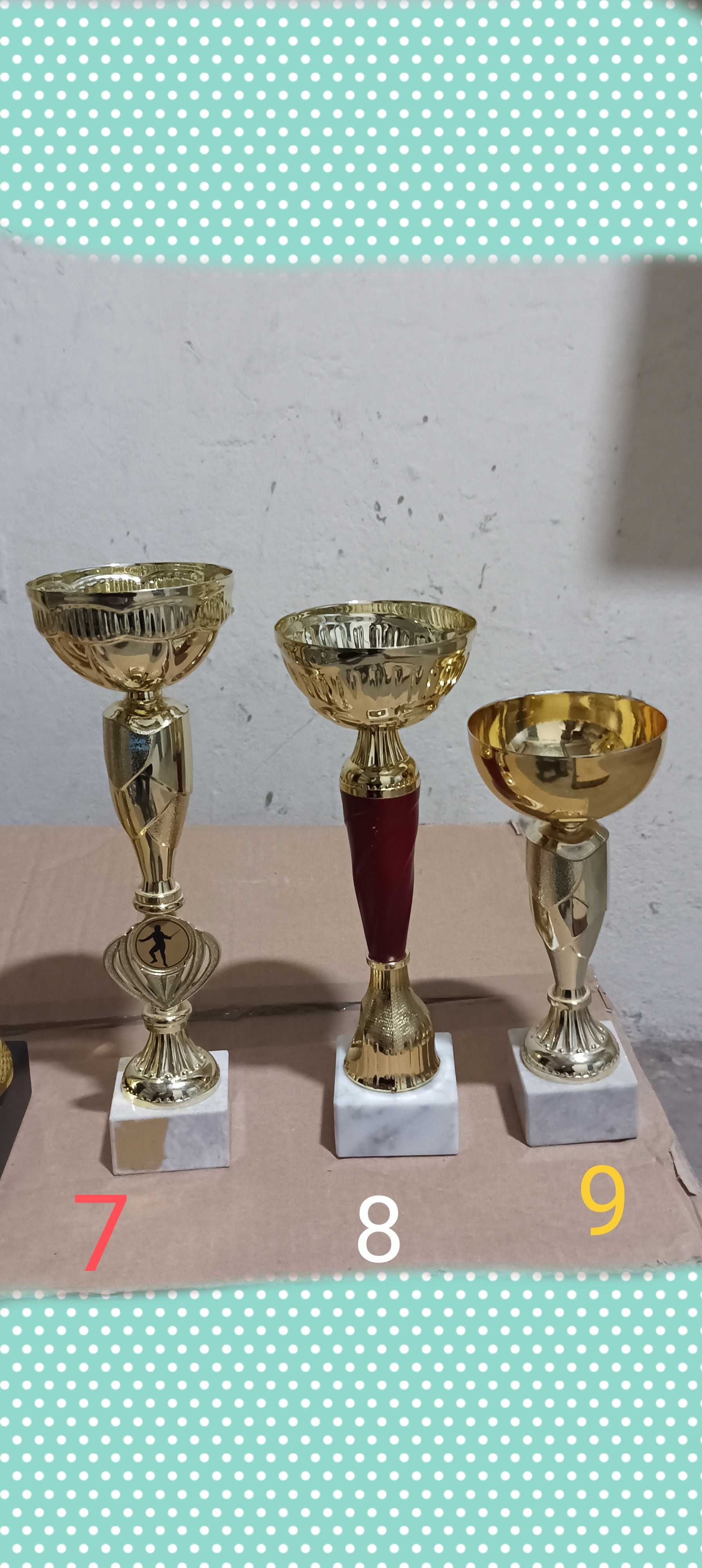 Zestaw puchary statuetka