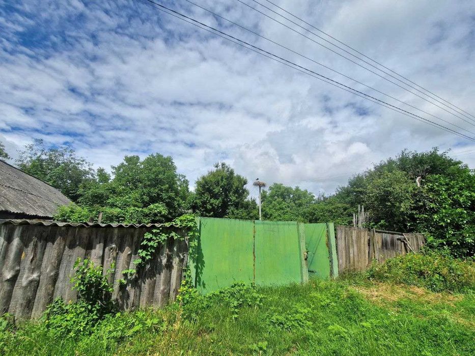 Будинок в селі Лебедівка