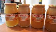 Miód  Wielokwiatowy