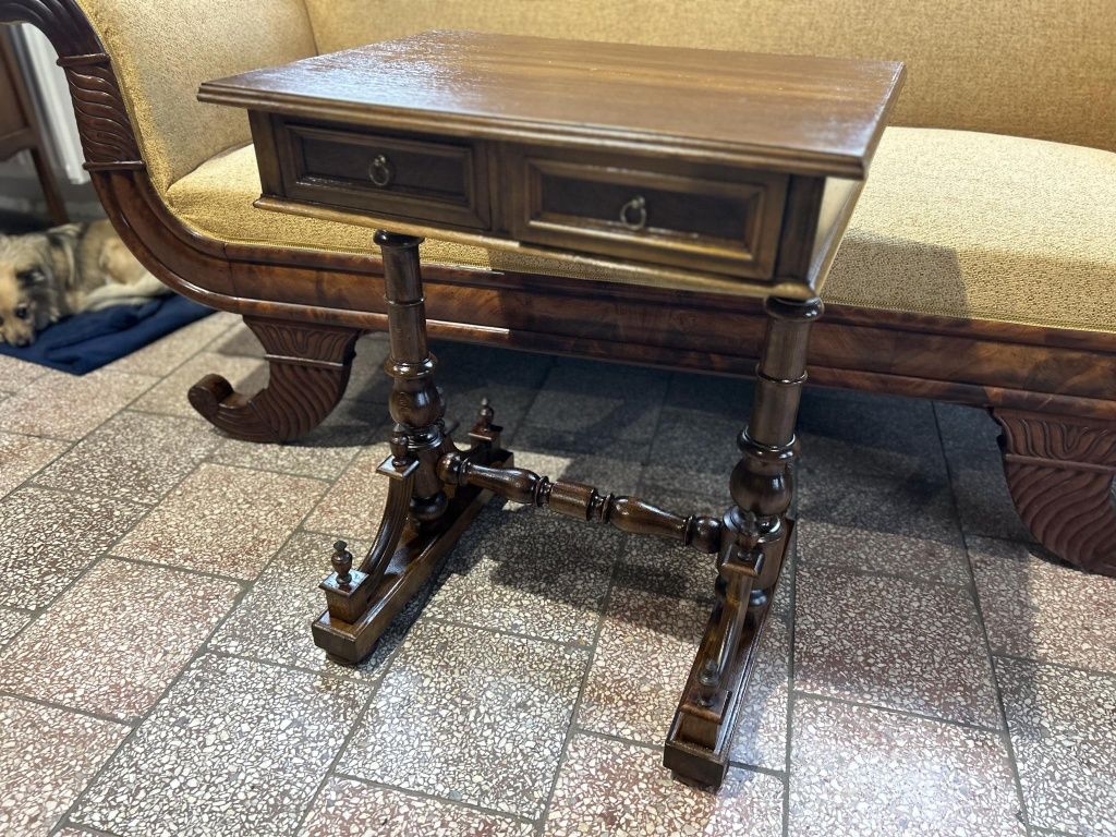 Śliczny niciak eklektyk