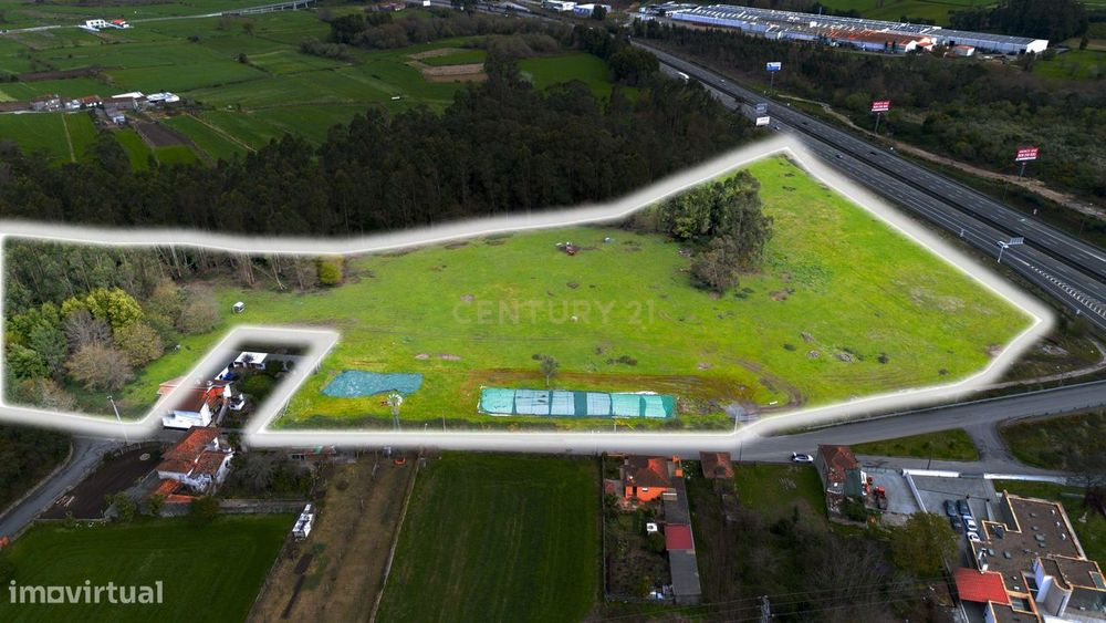 Terreno de 5,9 ha em São Mamede de Coronado – Excelente Potencial