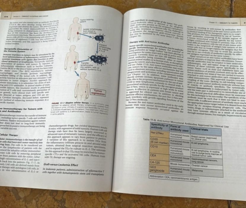 Cellular and molecular immunology