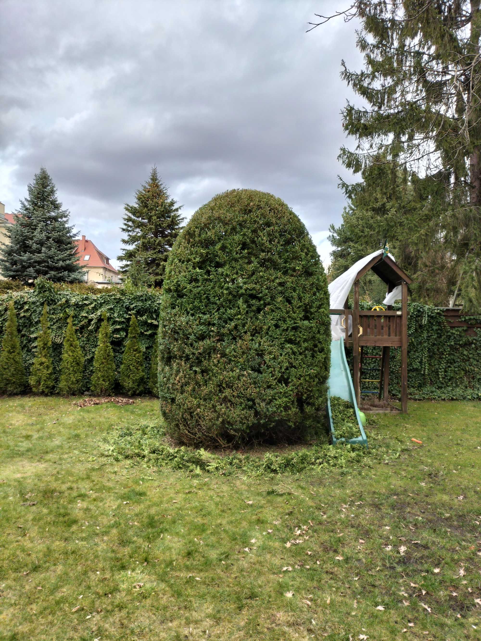 Przycinanie i formowanie krzewów