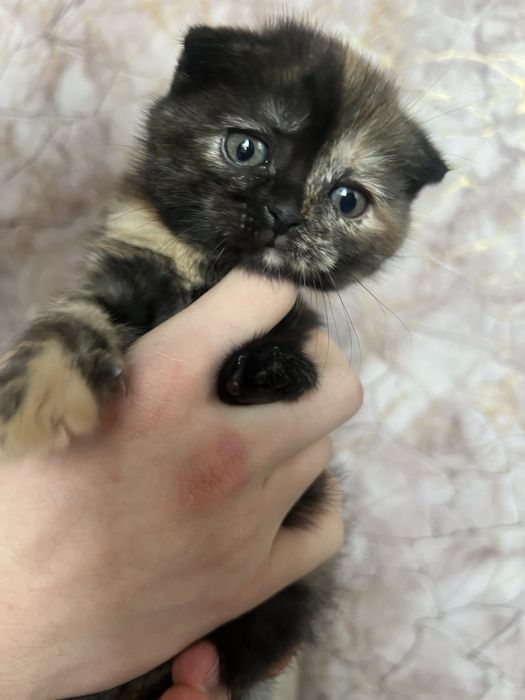 Красивые девочки и мальчики