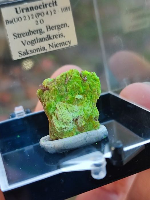 Minerał do kolekcji uranowy uranicircit UV