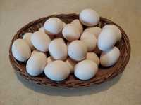 Jajka lęgowe  od kur niosek roznego koloru