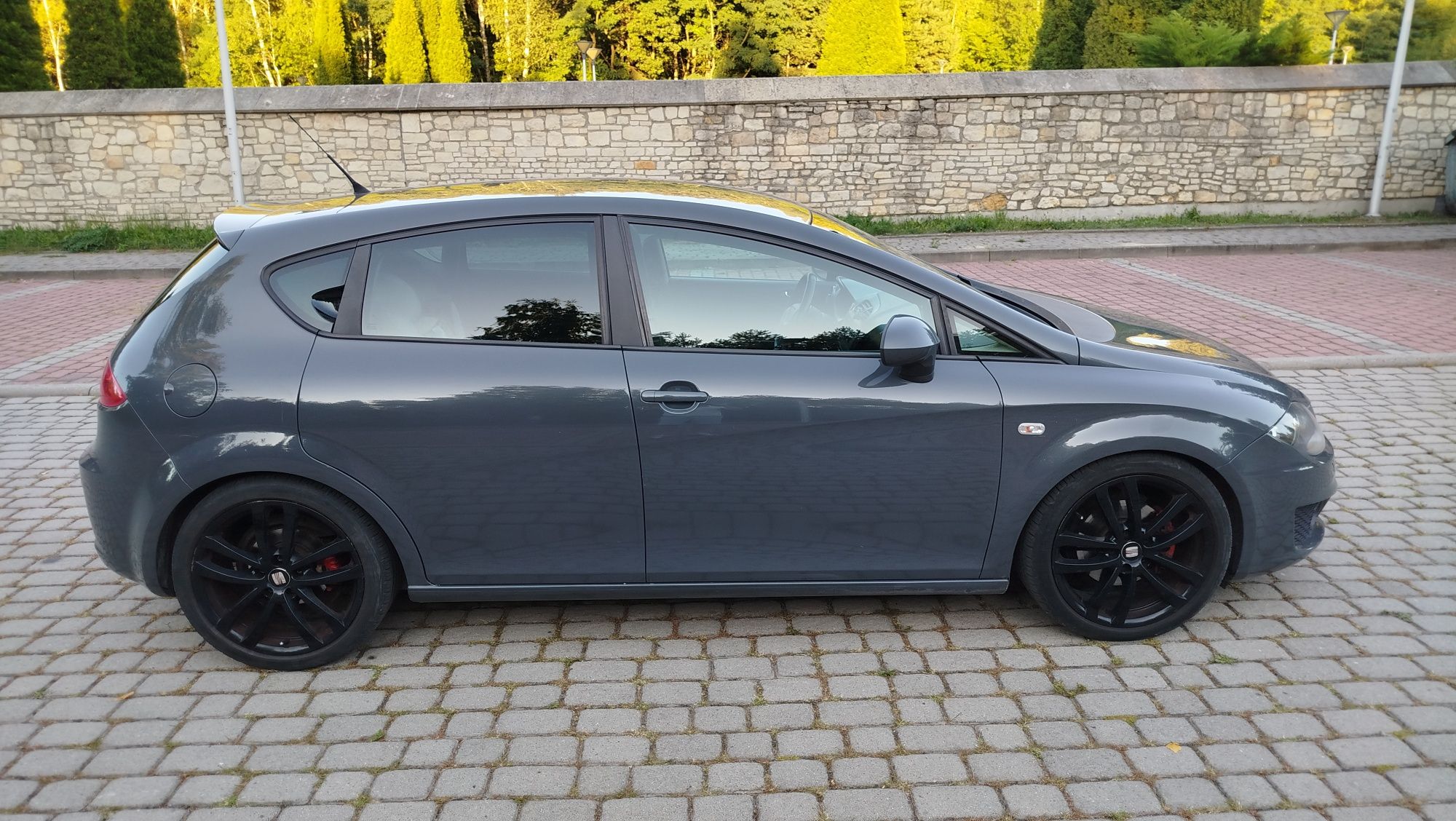 Seat leon 2 II 1.8 TSI
