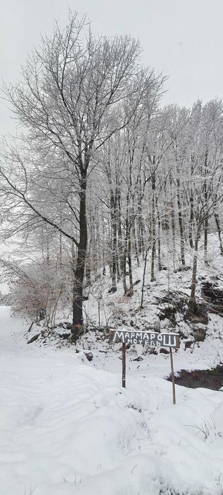 Великий Чан під відкритим небом з гарним краєвидом на гори