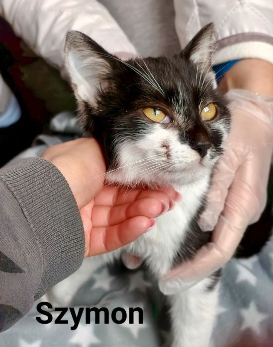 Szymuś błaga o szansę i dom ...