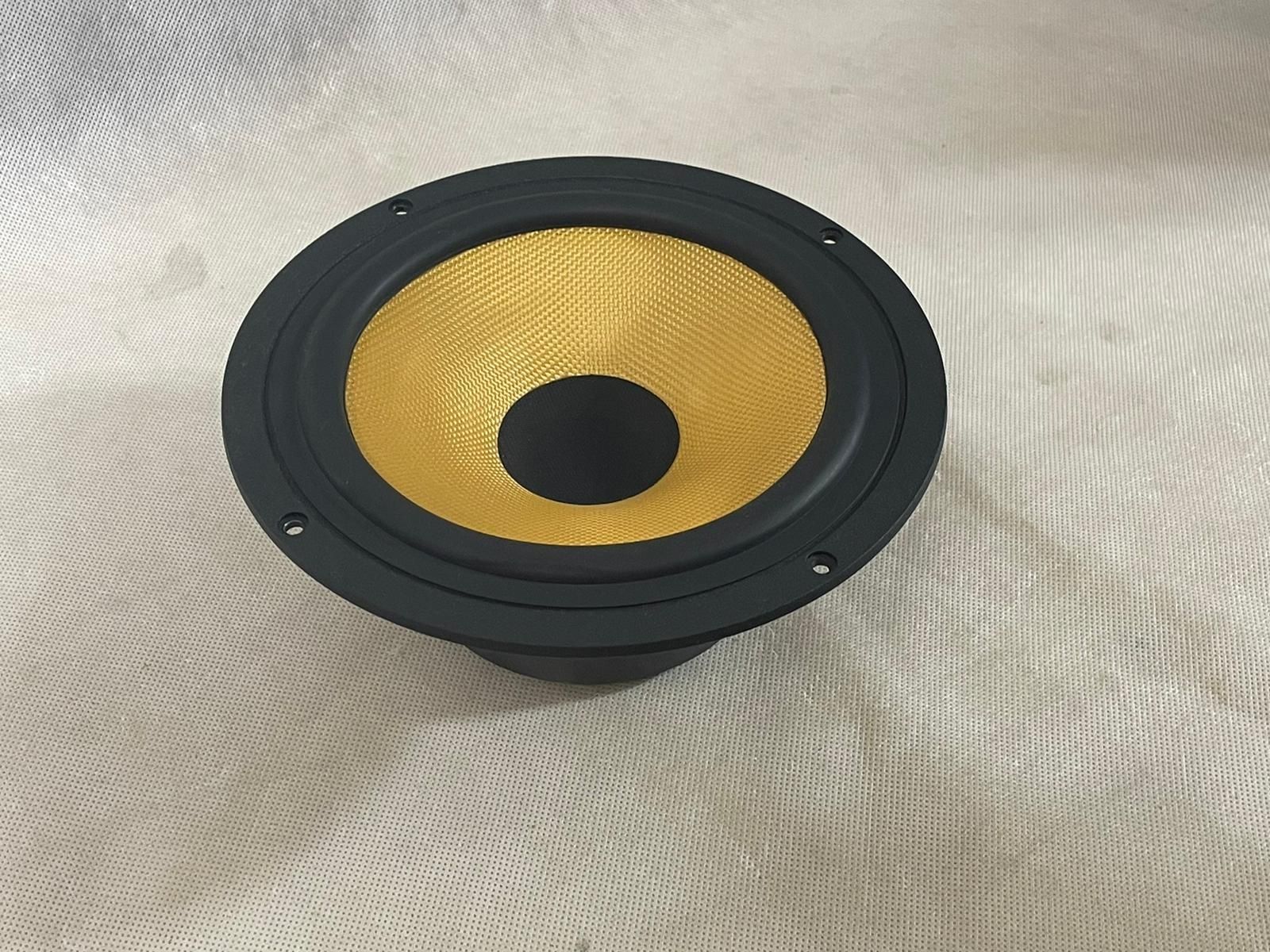 Głośnik STX GDN 20/100 - 14 Tonsil