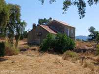 Quinta