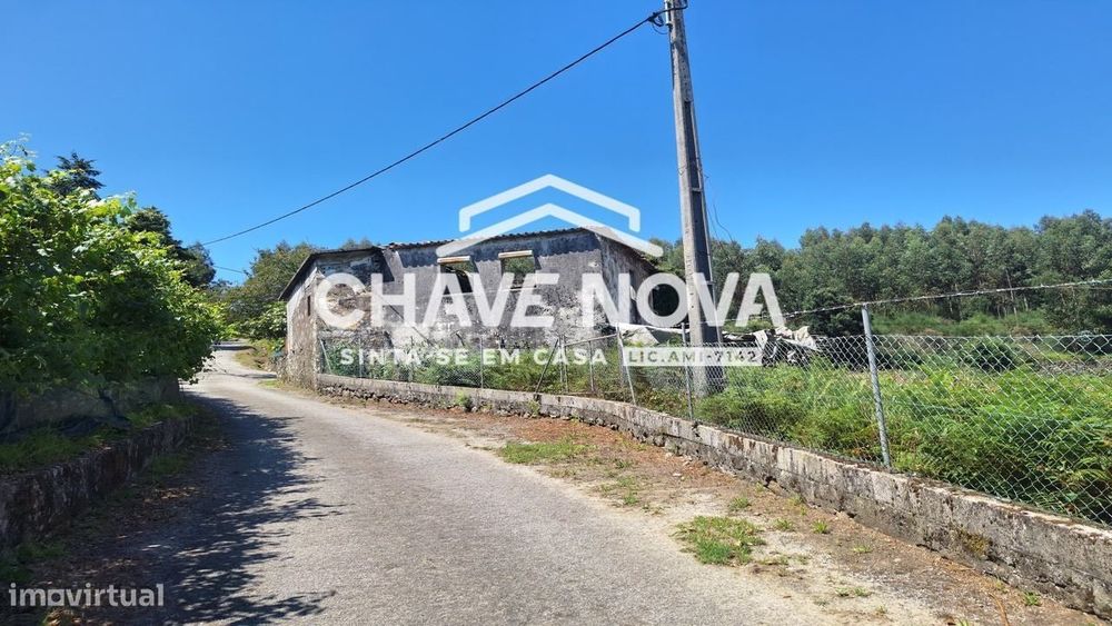 Quinta com Casa Rural para Reconstrução Vale Cambra