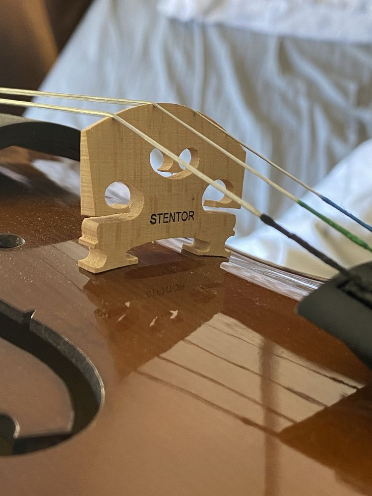 Violino Stentor 4/4